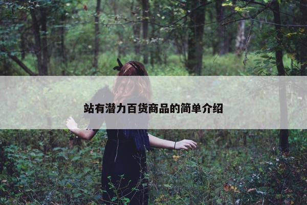 站有潜力百货商品的简单介绍
