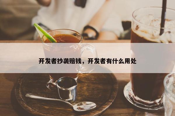 开发者抄袭赔钱，开发者有什么用处