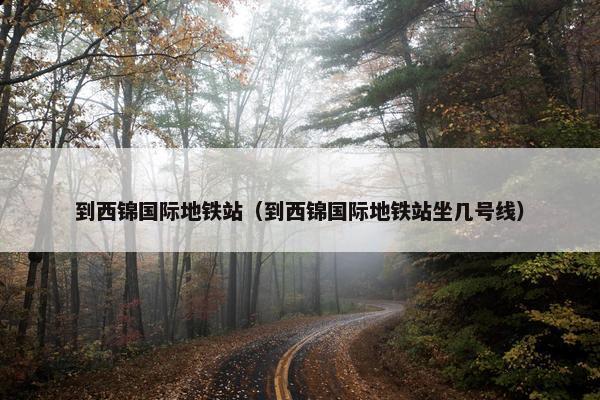 到西锦国际地铁站（到西锦国际地铁站坐几号线）