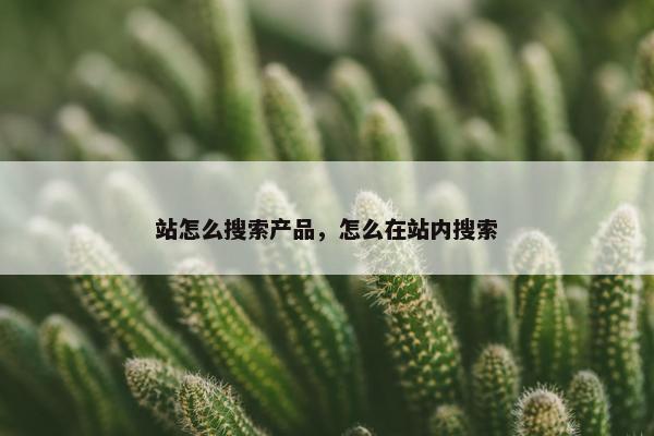 站怎么搜索产品，怎么在站内搜索