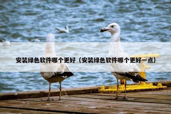 安装绿色软件哪个更好（安装绿色软件哪个更好一点）
