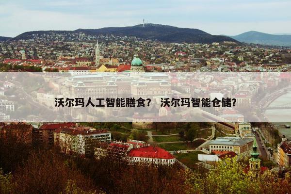 沃尔玛人工智能膳食？ 沃尔玛智能仓储？