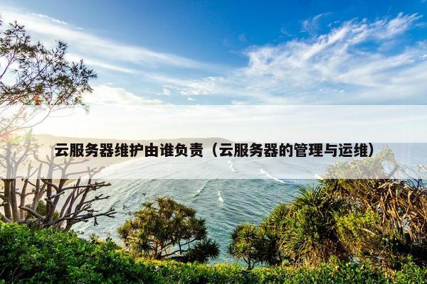 云服务器维护由谁负责（云服务器的管理与运维）