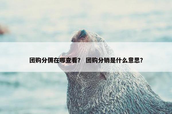 团购分佣在哪查看？ 团购分销是什么意思？