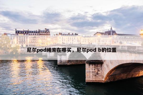 尼尔pod绳索在哪买，尼尔pod b的位置