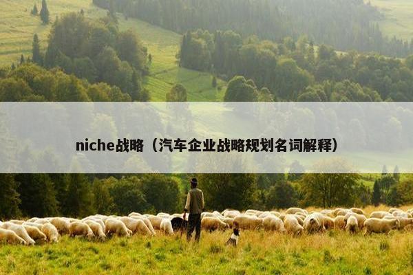 niche战略（汽车企业战略规划名词解释）