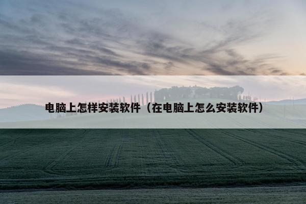 电脑上怎样安装软件（在电脑上怎么安装软件）