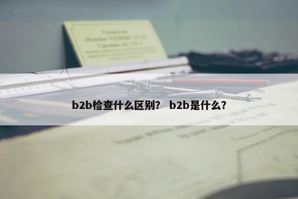 b2b检查什么区别？ b2b是什么？