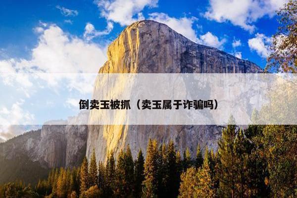 倒卖玉被抓（卖玉属于诈骗吗）