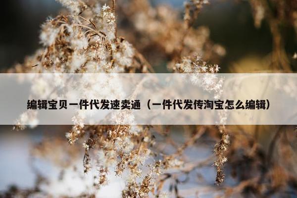 编辑宝贝一件代发速卖通（一件代发传淘宝怎么编辑）