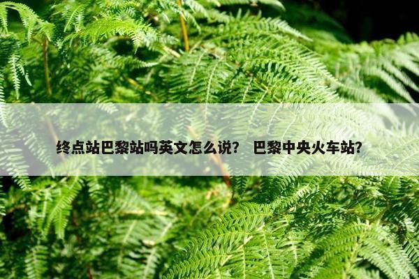终点站巴黎站吗英文怎么说？ 巴黎中央火车站？