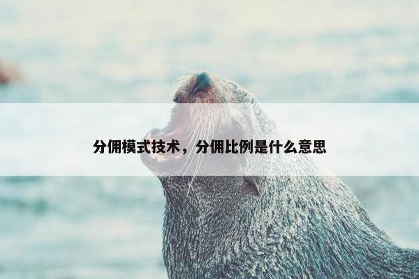 分佣模式技术，分佣比例是什么意思