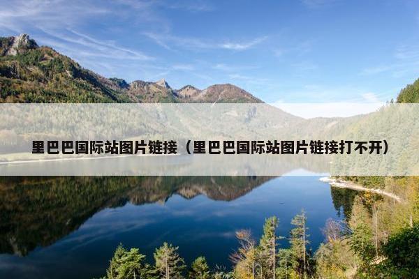 里巴巴国际站图片链接（里巴巴国际站图片链接打不开）