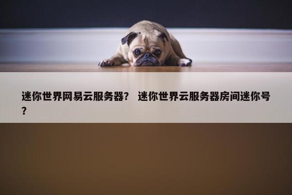 迷你世界网易云服务器？ 迷你世界云服务器房间迷你号？