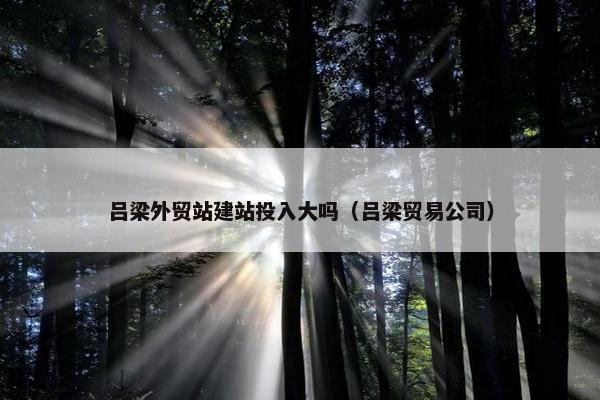 吕梁外贸站建站投入大吗（吕梁贸易公司）