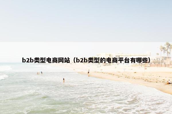 b2b类型电商网站（b2b类型的电商平台有哪些）
