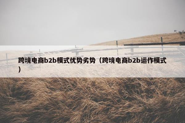 跨境电商b2b模式优势劣势（跨境电商b2b运作模式）