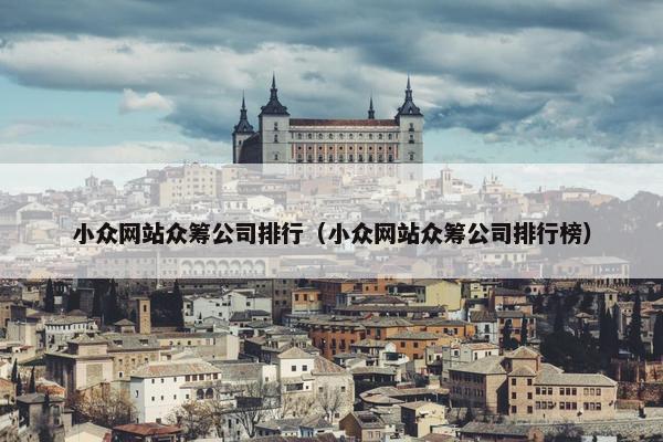 小众网站众筹公司排行（小众网站众筹公司排行榜）