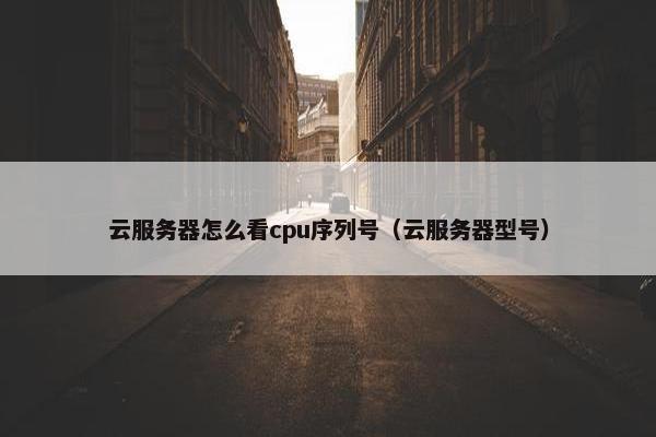 云服务器怎么看cpu序列号（云服务器型号）