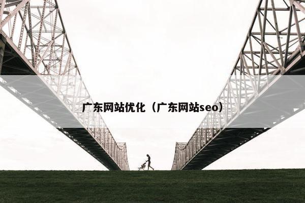 广东网站优化（广东网站seo）
