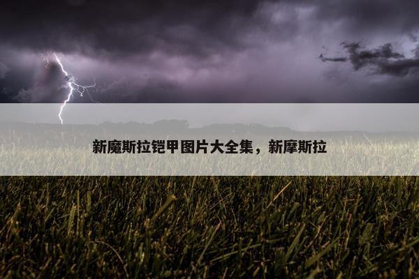新魔斯拉铠甲图片大全集，新摩斯拉