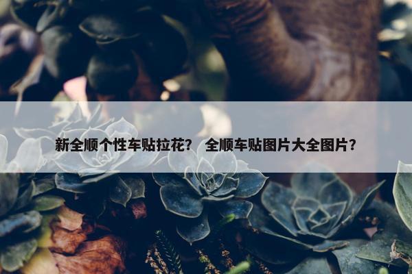 新全顺个性车贴拉花？ 全顺车贴图片大全图片？