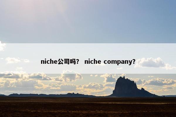 niche公司吗？ niche company？