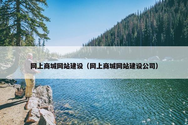 网上商城网站建设（网上商城网站建设公司）