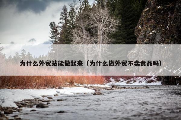 为什么外贸站能做起来（为什么做外贸不卖食品吗）
