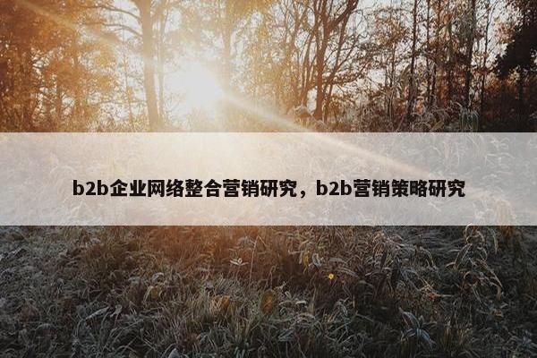 b2b企业网络整合营销研究，b2b营销策略研究