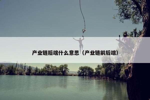 产业链后端什么意思（产业链前后端）