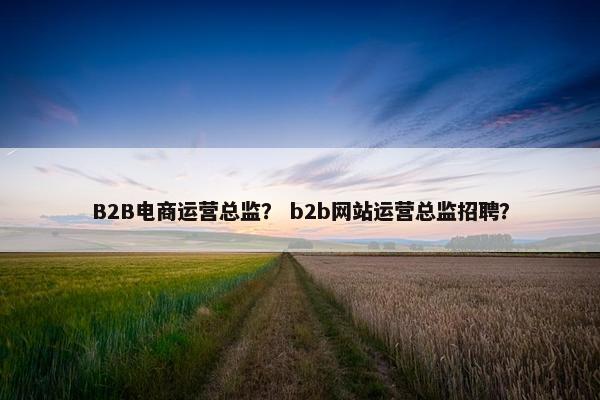 B2B电商运营总监？ b2b网站运营总监招聘？