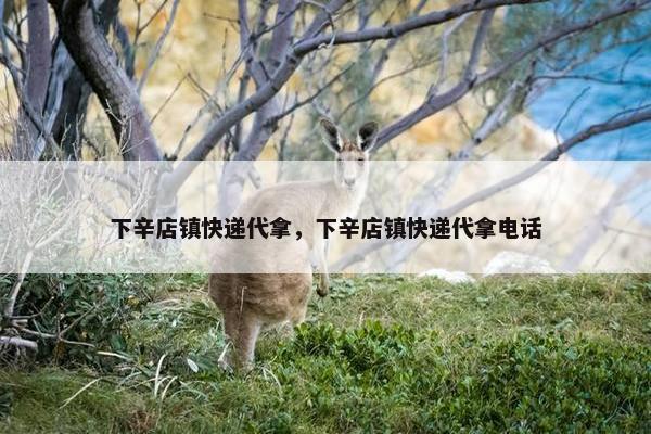 下辛店镇快递代拿，下辛店镇快递代拿电话