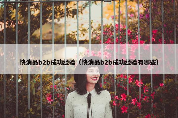 快消品b2b成功经验（快消品b2b成功经验有哪些）