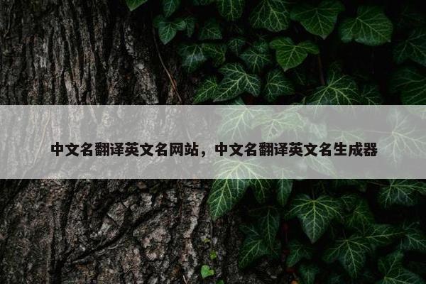 中文名翻译英文名网站，中文名翻译英文名生成器