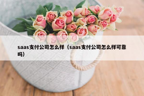 saas支付公司怎么样（saas支付公司怎么样可靠吗）
