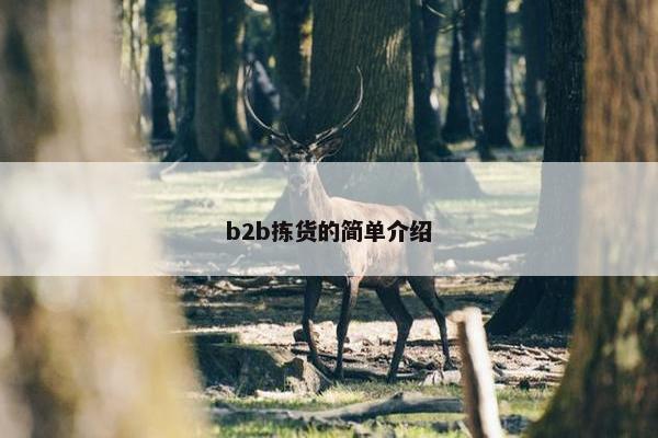 b2b拣货的简单介绍