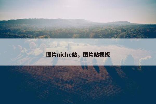 图片niche站，图片站模板