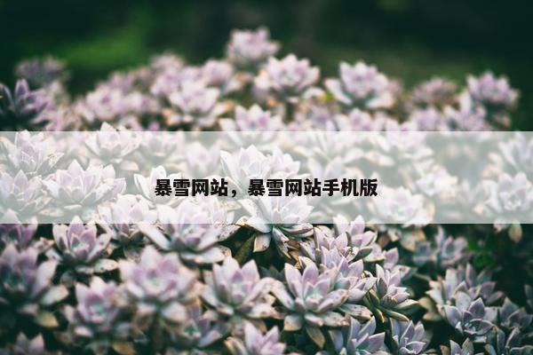 暴雪网站，暴雪网站手机版