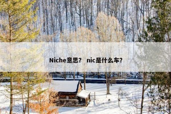 Niche意思？ nic是什么车？