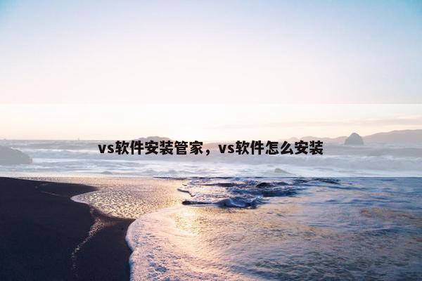vs软件安装管家，vs软件怎么安装