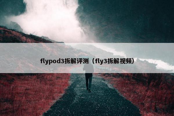 flypod3拆解评测（fly3拆解视频）