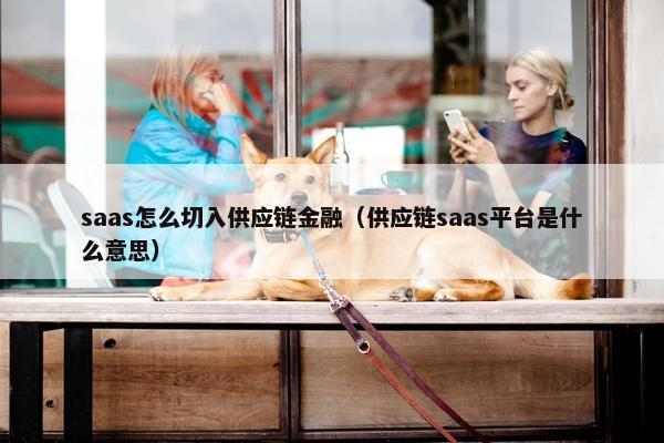 saas怎么切入供应链金融（供应链saas平台是什么意思）