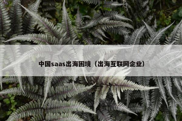 中国saas出海困境（出海互联网企业）