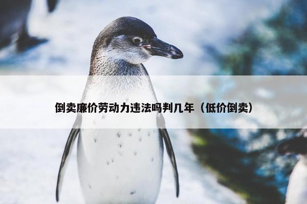 倒卖廉价劳动力违法吗判几年（低价倒卖）
