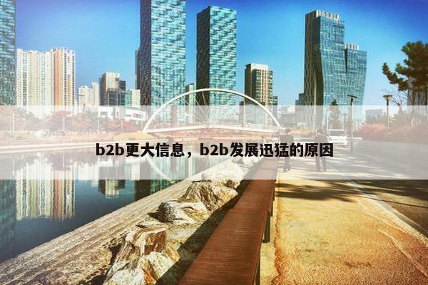 b2b更大信息，b2b发展迅猛的原因