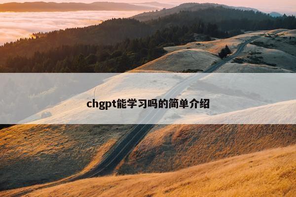 chgpt能学习吗的简单介绍