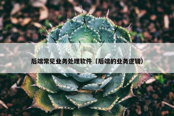后端常见业务处理软件（后端的业务逻辑）