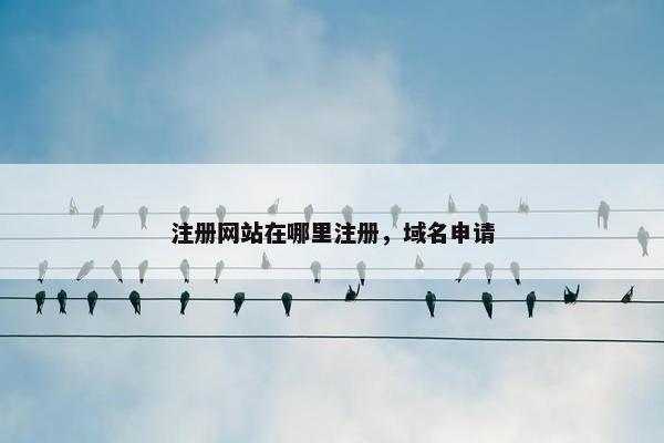 注册网站在哪里注册，域名申请