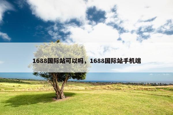 1688国际站可以吗，1688国际站手机端